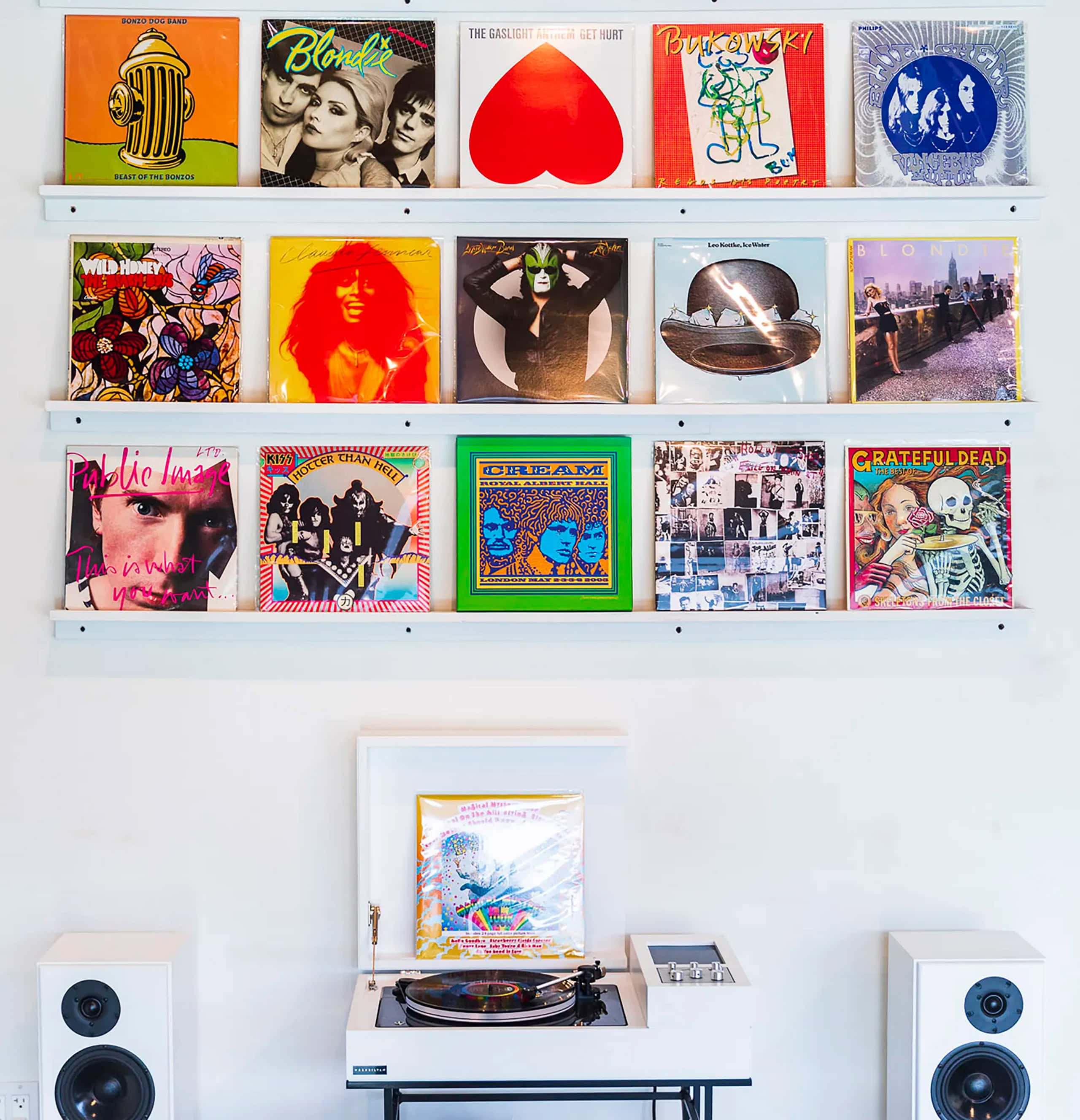 Wrensilva x John Van Hamersveld